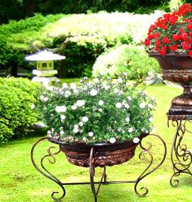 Вазоны для цветов для интерьера - тип 1