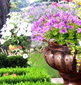 Вазоны для цветов для интерьера - тип 2