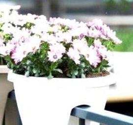 Вазоны для цветов пластиковые на кладбище - тип 3