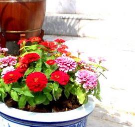 Вазоны для цветов пластиковые на кладбище - тип 2