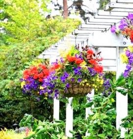 Вазоны для туи уличные - модель 1