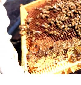 Верхняя вентиляция - модель 1