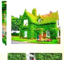 Вертикальное озеленение зданий - модель 1