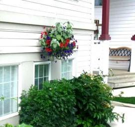 Вертикальное озеленение зданий - модель 4