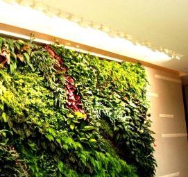 Вертикальное озеленение зданий - модель 2