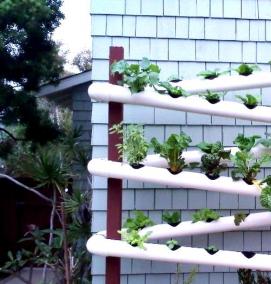 Вертикальные грядки - модель 1