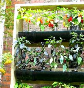 Вертикальные грядки - модель 3