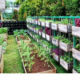 Вертикальные грядки - модель 2