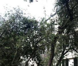 Вертикальные вентилируемые фасады - тип 1