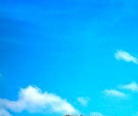 Ветровые флюгеры - тип 3