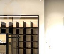 Входная дверь скрытого монтажа - тип 3