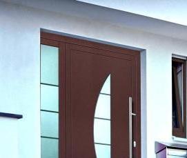 Входные двери биометрические - тип 1