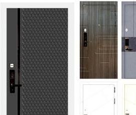 Входные двери биометрические - тип 3