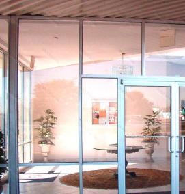 Входные стеклянные двери для частного дома - модель 4