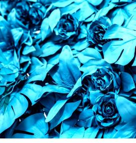 Виниловые обои голубого цвета - тип 3