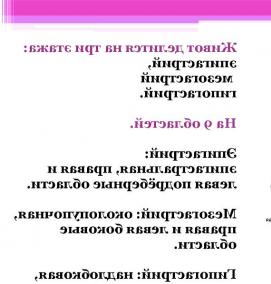 Визуализация брюшной полости - модель 1