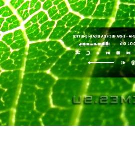 Визуализация для аимп - модель 4