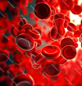 Визуализация кровотока - вариант 1