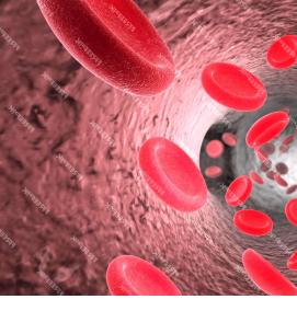 Визуализация кровотока - вариант 4