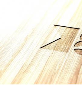 Визуализация логотипа - тип 1