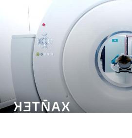 Визуализация органов - модель 3