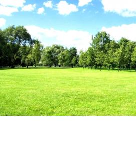 Визуализация природы - вариант 4