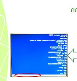 Визуализация штампа электронной подписи - тип 4