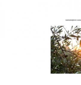 Визуализация текстовой информации - модель 2