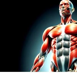 Визуализация тела - вариант 3