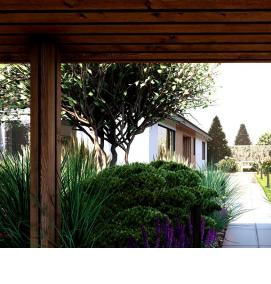 Визуализация территории - тип 3