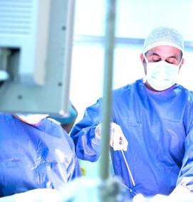 Визуализация яичника - модель 4