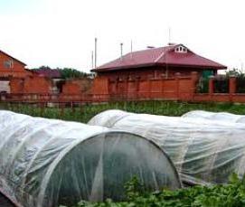 Владимирские теплицы - вариант 3