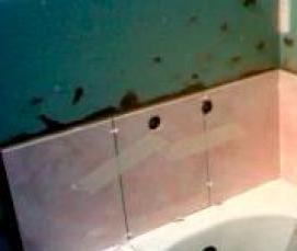 Влагостойкая фанера для ванной - вариант 1