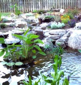 Водоем искусственный садовый - вариант 1