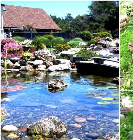 Водоем искусственный садовый - вариант 4