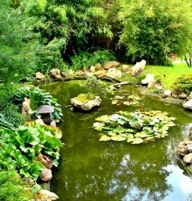 Водоем искусственный садовый - вариант 3