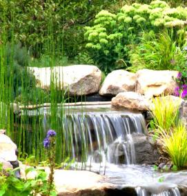 Водоем искусственный садовый - вариант 2