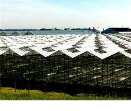 Вологодские теплицы - вариант 4