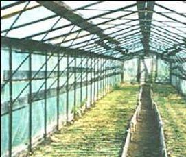 Вологодские теплицы - вариант 2