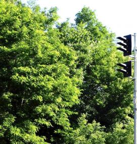 Выходной светофор - вариант 1