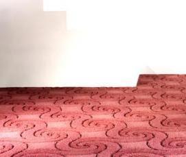 Высокий ковролин - тип 2