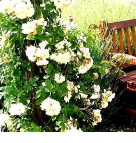 Вывеска садовая - модель 4