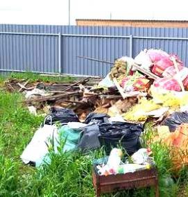 Вывоз деревянного мусора - вариант 1