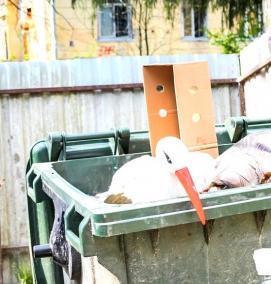 Вывоз мусора из кафе - модель 1