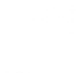 янтарные таблетки для рассады - модель 1