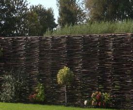 Из орешника - тип 1