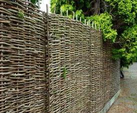 Из орешника - тип 4