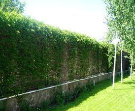 Из плетеных прутьев - тип 1