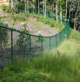 Из зеленой сетки - RAL 6005 - тип 1