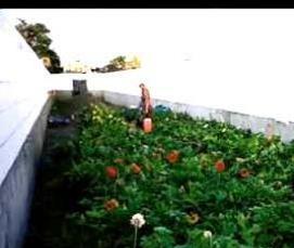 Заглубленная теплица термос - вариант 1